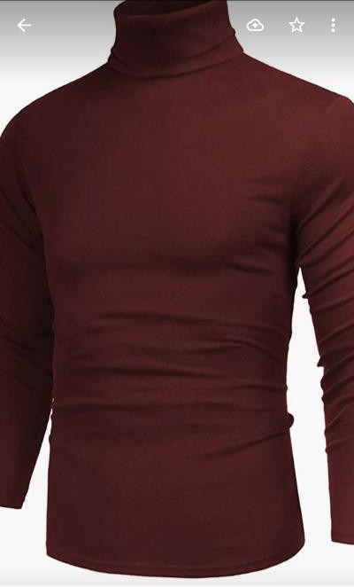 MENS LS SWEATER